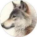 Mateusz Zganiacz profile picture